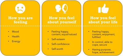 What do adults with visual impairment mean by well-being? Identifying the building blocks of well-being in the context of visual impairment